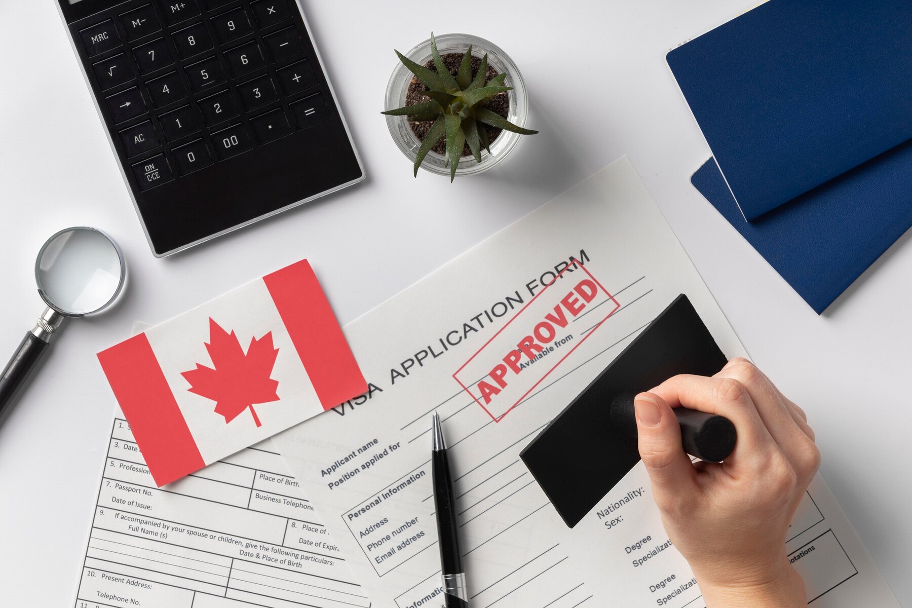 Canada-big-year-2020