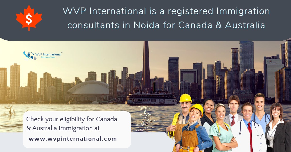 immigration consultant in noida